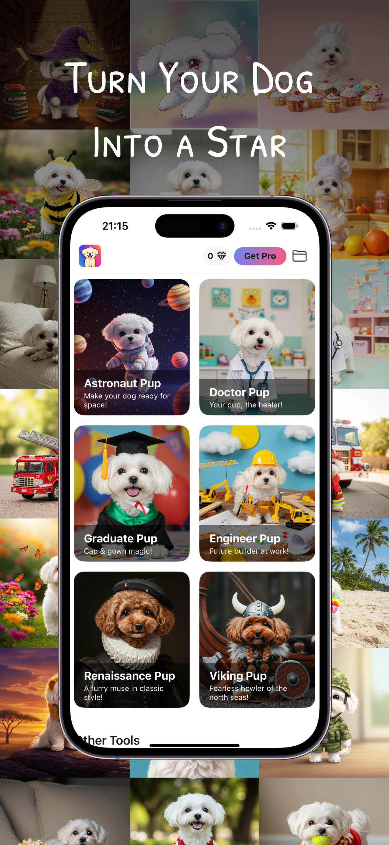 Pupify App Interface